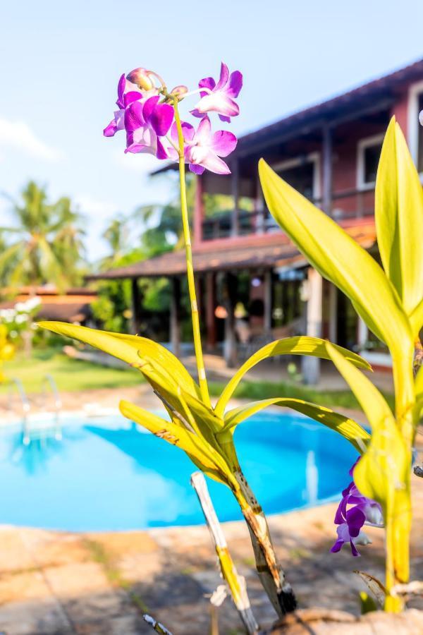 Flow Guest House Salinopolis Luaran gambar